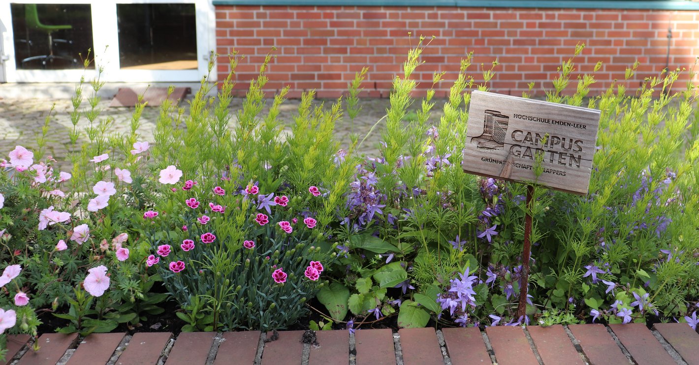 "Fielappers" Beet beim T-Gebäude