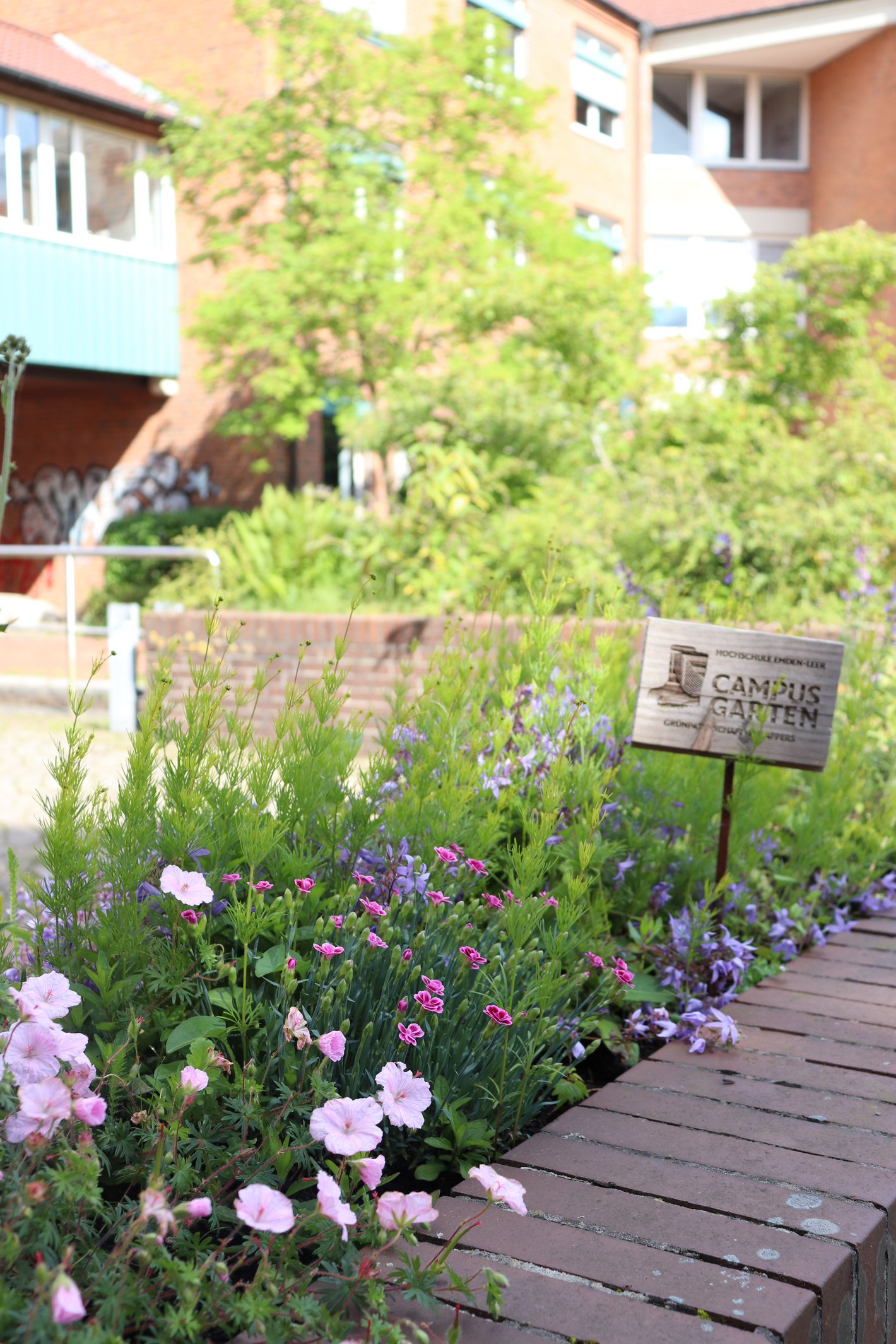 "Fielappers" Beet beim T-Gebäude