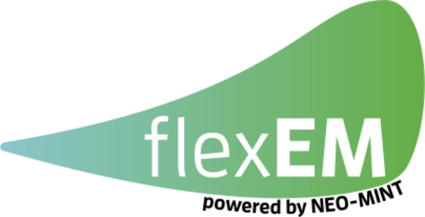 flexEM Logo