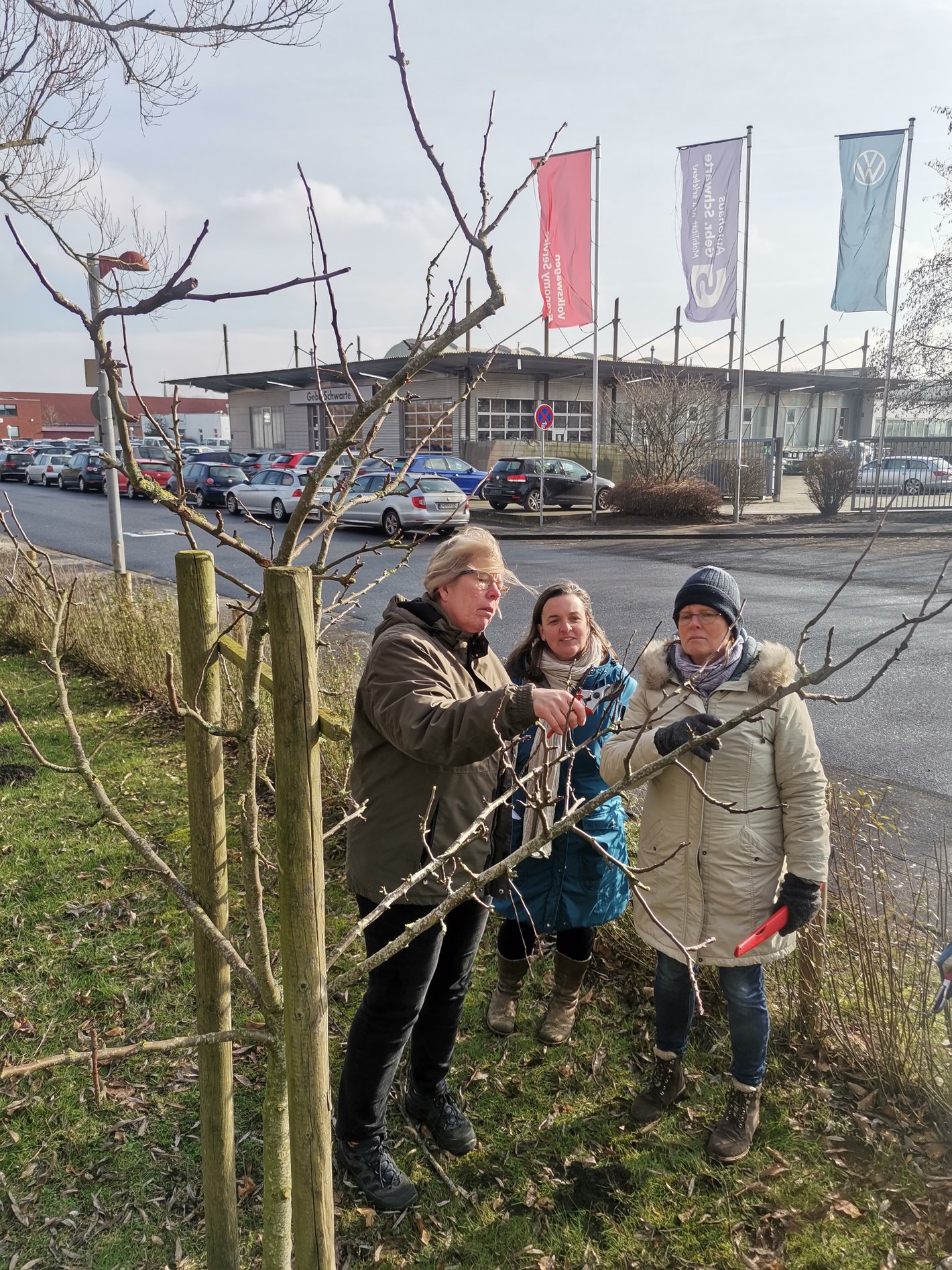 Obstbaum-Schnittkurs 2023