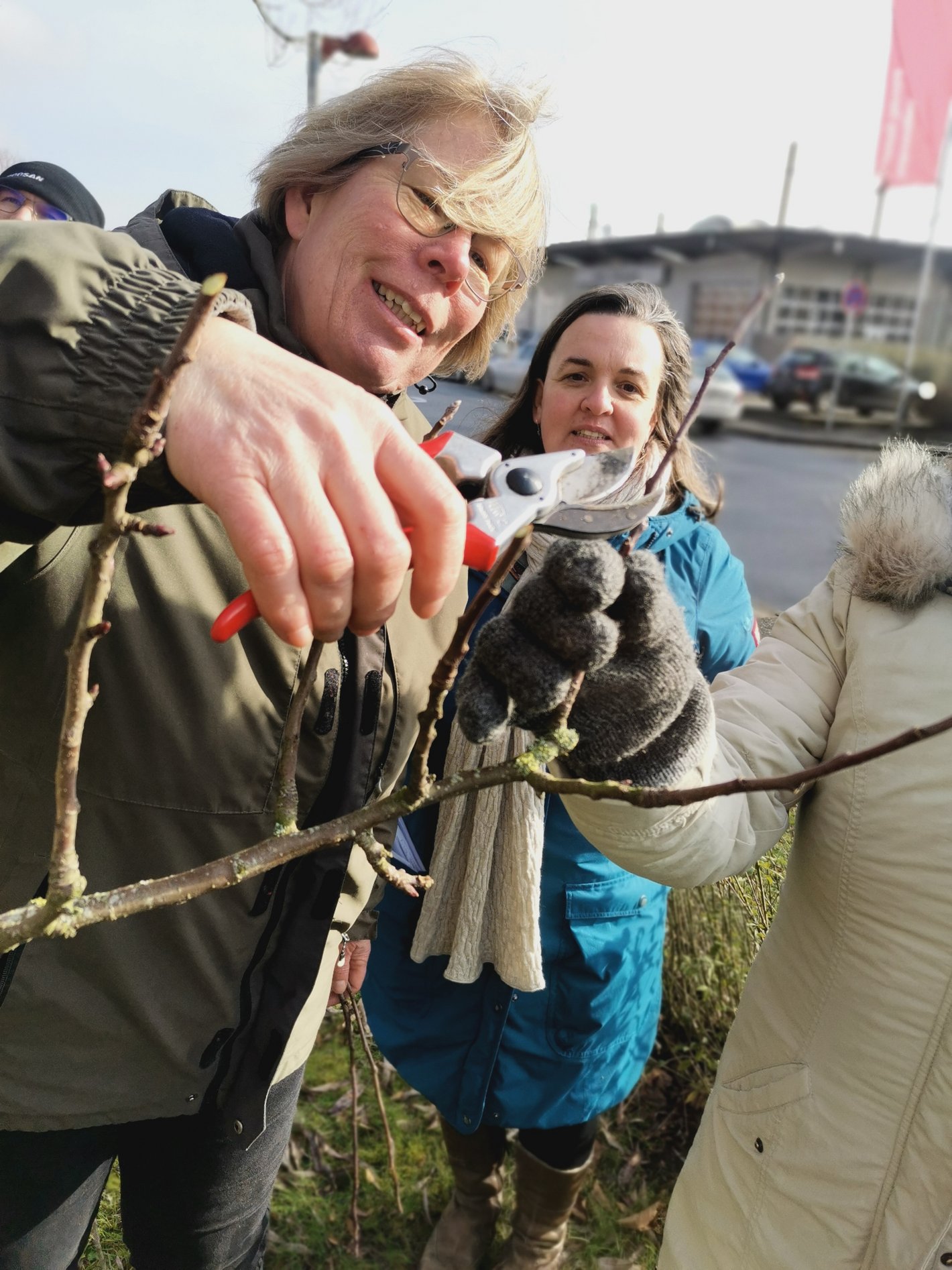 Obstbaum-Schnittkurs 2023