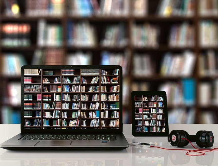 Gender in Lehre und Forschung